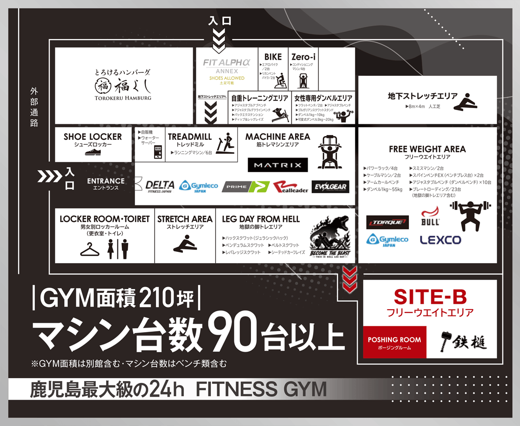 FIT ALPHα